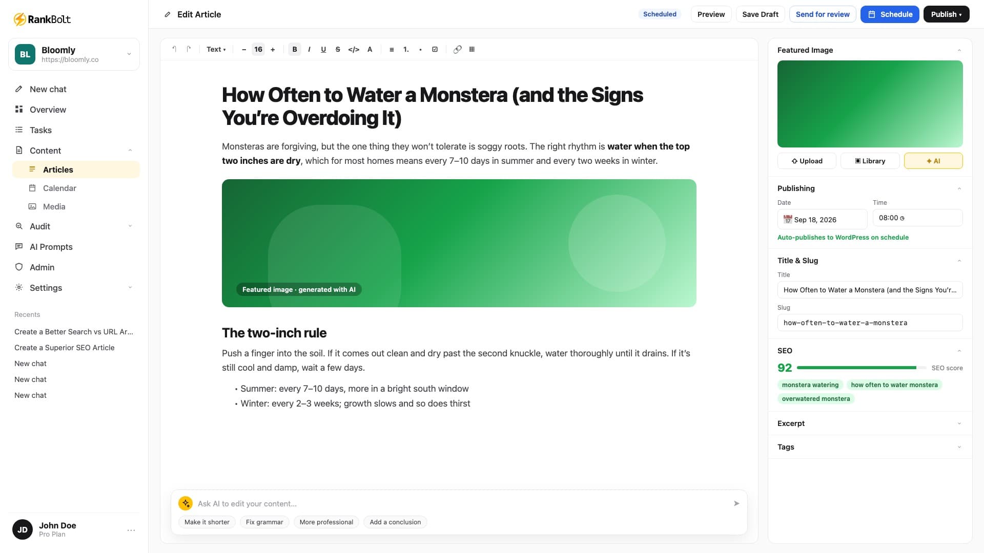 RankBolt AI blog writer dashboard for AI SEO Writer auto-publishing